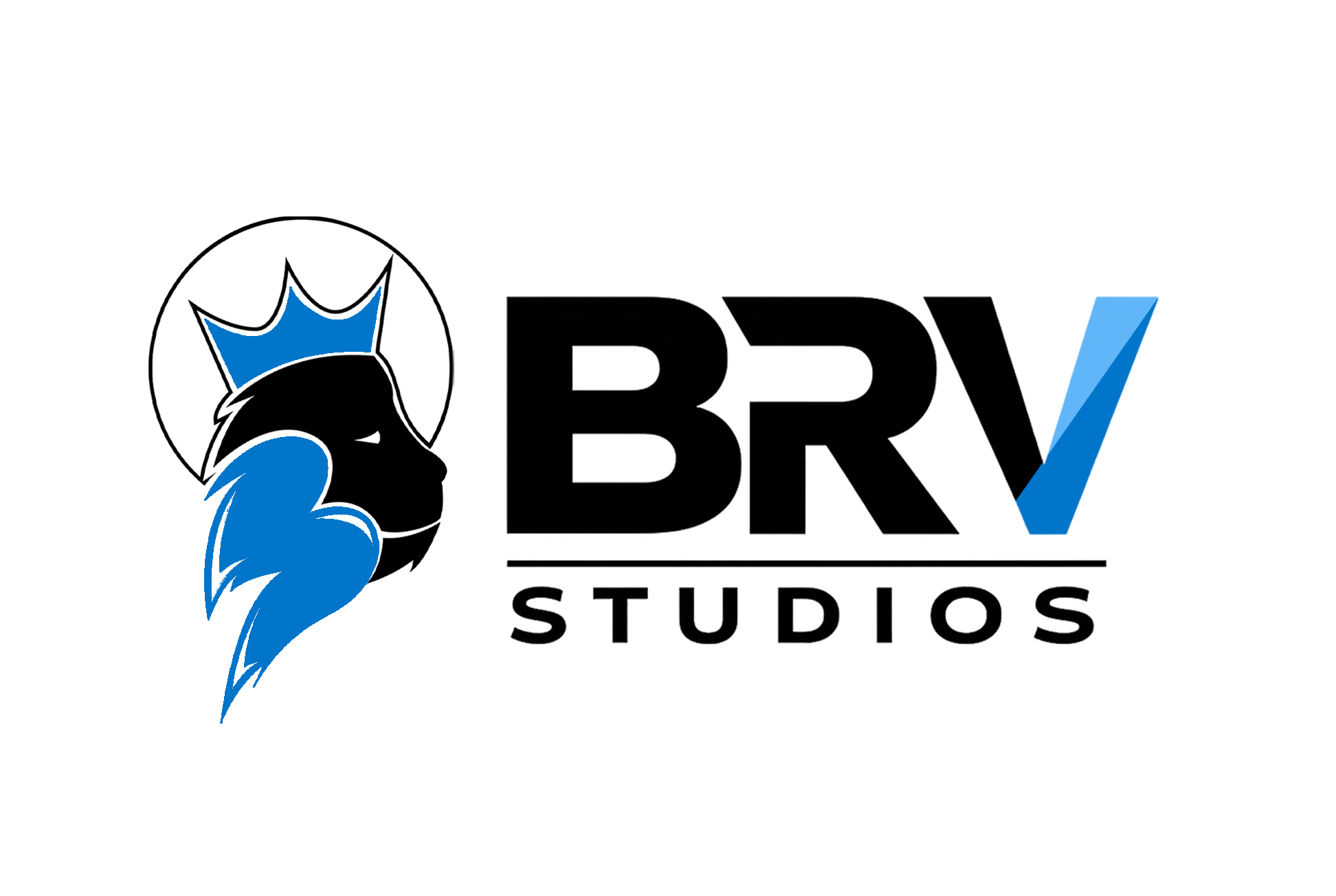 BRV Studios Design V1
